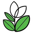 Heyl logo
