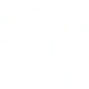 Van Vliet Motorsport logo