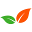 Fatels Food Group logo
