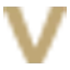 Master in BI logo
