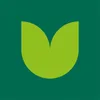 Tulpen.nl logo