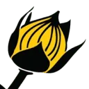 Lino BV logo