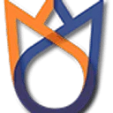 Mega Intellect logo