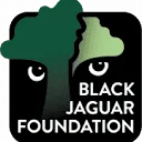 Black Jaguar Foundation logo