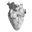 Compendium Medicine logo