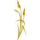 De Vries Cornjum b.v. logo