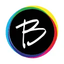 Random Solutions BV logo