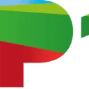 P10 Netwerk logo