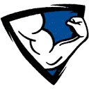 Stichting De Dappere Strijder logo