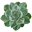 OVATA by nature logo