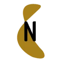 Netspar logo