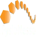 FysioNesse logo