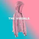 The Visuals 3D logo