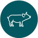 The Feed Company logo