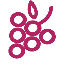 Fruticos logo