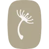 the Touch Studio logo