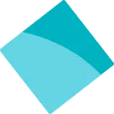 Stichting Dravetsyndroom Nederland/Vlaanderen logo