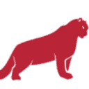 Snow Leopard Adventures NL logo