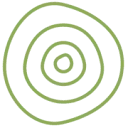 The Branch Agency logo