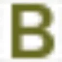 Bokhorst Verzekeringen logo