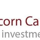 Capricorn Capital Group logo