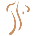 Latent Letselschade logo